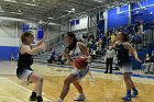 WBBall vs MHC  Wheaton College women's basketball vs Mount Holyoke College. - Photo By: KEITH NORDSTROM : Wheaton, basketball, Mount Holyoke, NEWMAC